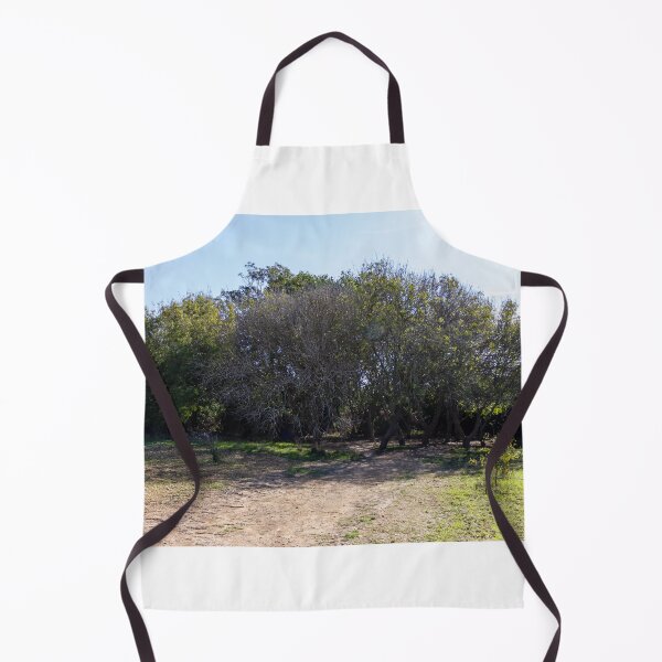Item preview, Sunny Woodland Grove With Shaded Dirt Path and Low Shrubs in Countryside designed and sold by Nmallia.