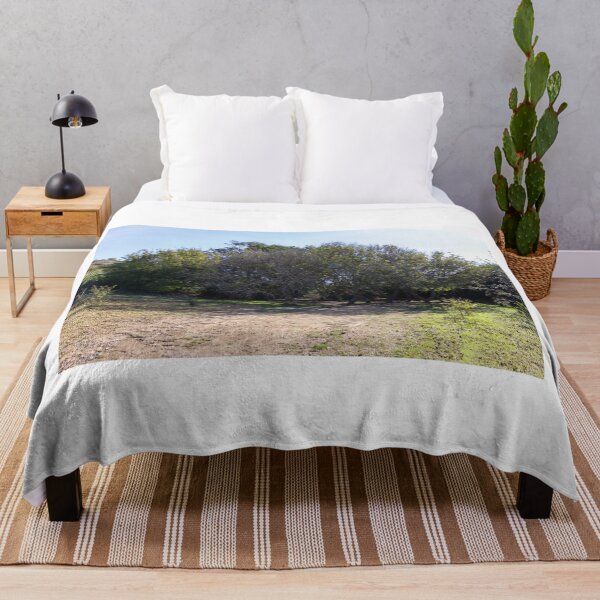 Item preview, Sunny Woodland Grove With Shaded Dirt Path and Low Shrubs in Countryside designed and sold by Nmallia.