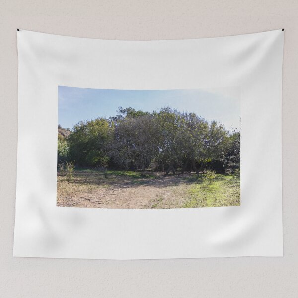 Item preview, Sunny Woodland Grove With Shaded Dirt Path and Low Shrubs in Countryside designed and sold by Nmallia.