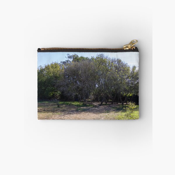 Item preview, Sunny Woodland Grove With Shaded Dirt Path and Low Shrubs in Countryside designed and sold by Nmallia.