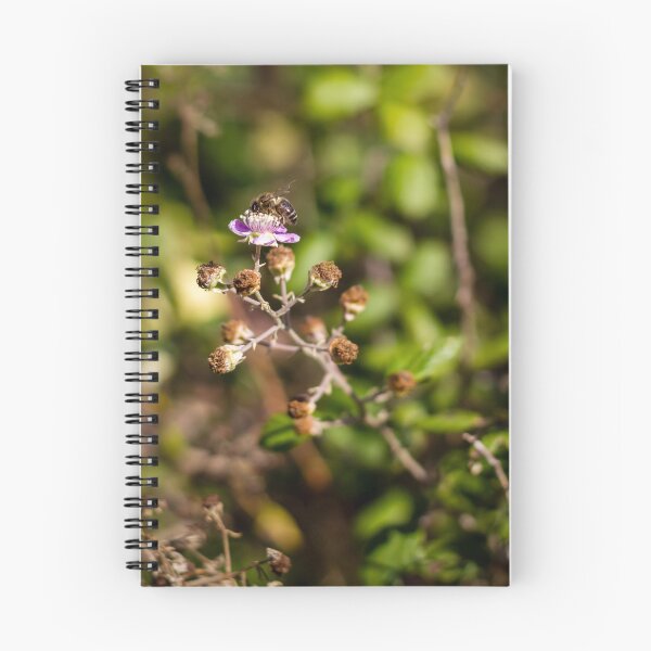 Item preview, Honey Bee Pollinating Pink Wildflower Macro Shot In Green Garden With Soft Bokeh Background designed and sold by Nmallia.