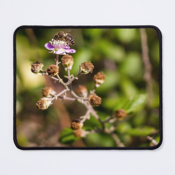 Item preview, Honey Bee Pollinating Pink Wildflower Macro Shot In Green Garden With Soft Bokeh Background designed and sold by Nmallia.
