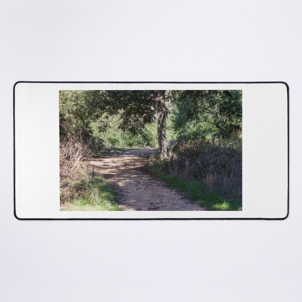 Item preview, Sunlit Forest Trail Through Oaks and Shrubbery With Dirt Path and Overhanging Tree Shade designed and sold by Nmallia.