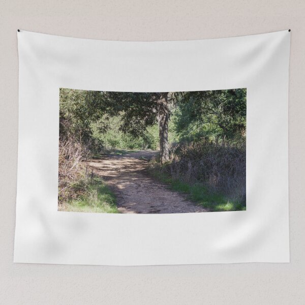 Item preview, Sunlit Forest Trail Through Oaks and Shrubbery With Dirt Path and Overhanging Tree Shade designed and sold by Nmallia.