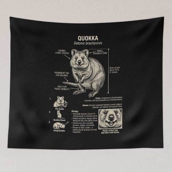 Item preview, Quokka Scientific Anatomy Biology Animal Lover designed and sold by Kimberley King Art King Art.