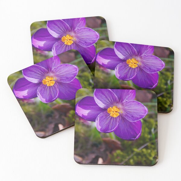 Item preview, Single Vibrant Purple Crocus designed and sold by ShotsbyDesiree.