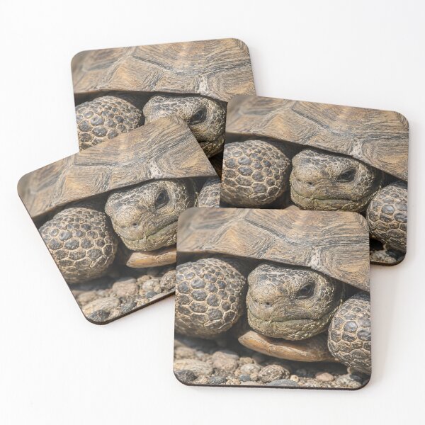 Item preview, Grumpy Old Tortoise designed and sold by Kimberly Palmer.