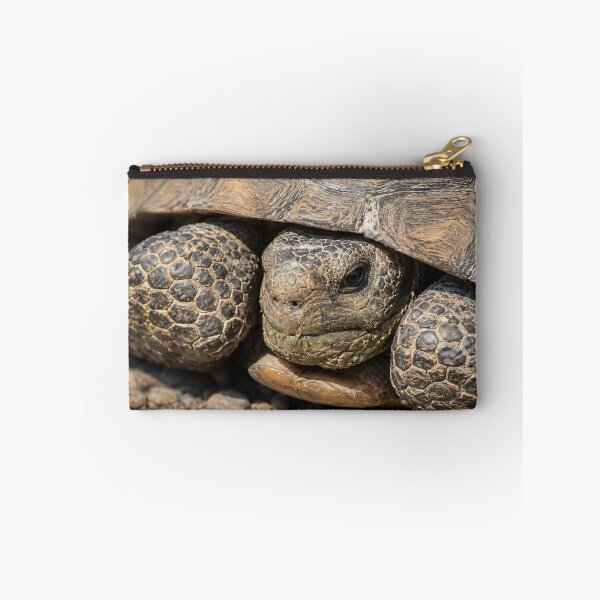 Item preview, Grumpy Old Tortoise designed and sold by Kimberly Palmer.