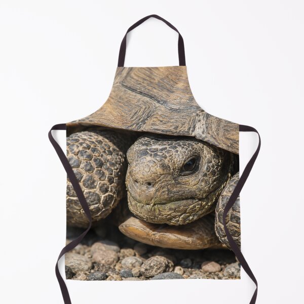 Item preview, Grumpy Old Tortoise designed and sold by Kimberly Palmer.