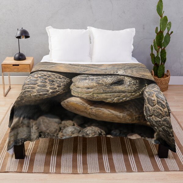 Item preview, Grumpy Old Tortoise designed and sold by Kimberly Palmer.