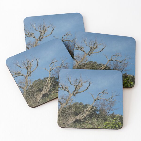 Item preview, Bare Oak Tree With Gnarled Branches Against Clear Blue Sky Over Wild Shrubland designed and sold by Nmallia.