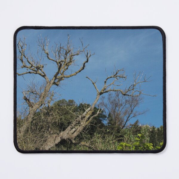 Item preview, Bare Oak Tree With Gnarled Branches Against Clear Blue Sky Over Wild Shrubland designed and sold by Nmallia.