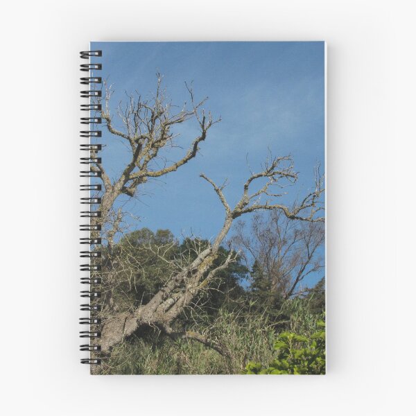 Item preview, Bare Oak Tree With Gnarled Branches Against Clear Blue Sky Over Wild Shrubland designed and sold by Nmallia.