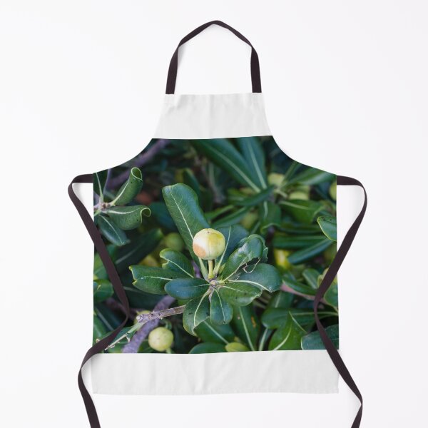 Item preview, Close-Up Of Green Leaves And Unripe Round Fruit On Coastal Shrub Branch With Glossy Foliage designed and sold by Nmallia.