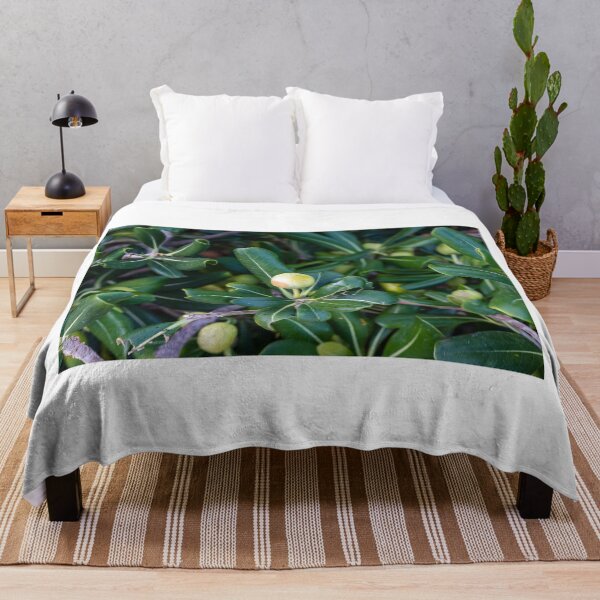 Item preview, Close-Up Of Green Leaves And Unripe Round Fruit On Coastal Shrub Branch With Glossy Foliage designed and sold by Nmallia.
