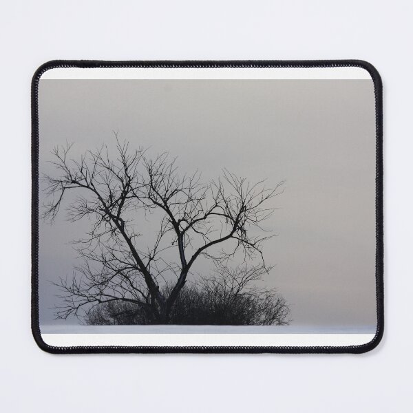 Item preview, Winter Tree designed and sold by James Cumming.
