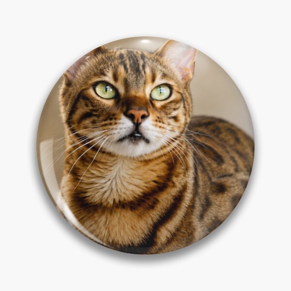 Item preview, Emerald Eyes designed and sold by Kimberly Palmer.