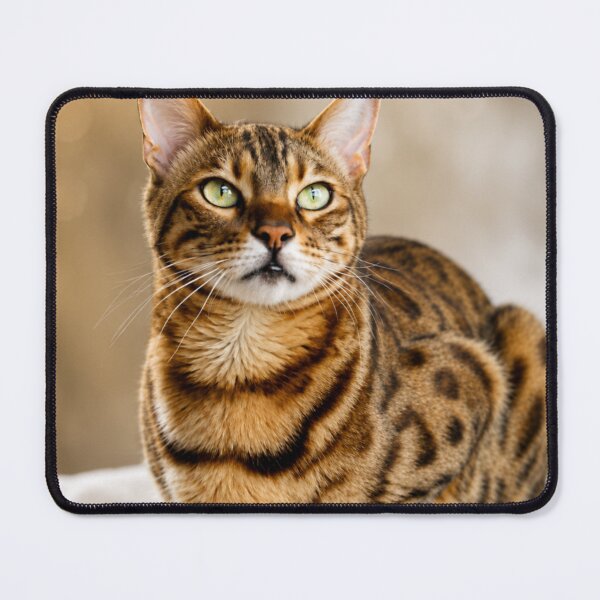 Item preview, Emerald Eyes designed and sold by Kimberly Palmer.