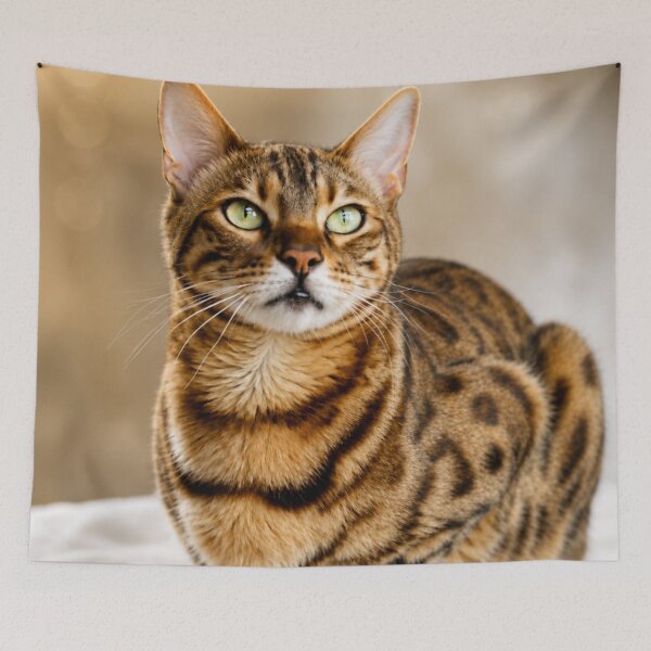 Item preview, Emerald Eyes designed and sold by Kimberly Palmer.