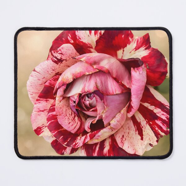 Item preview, Crimson Marble Rose Elegance designed and sold by Violafleurviolett.