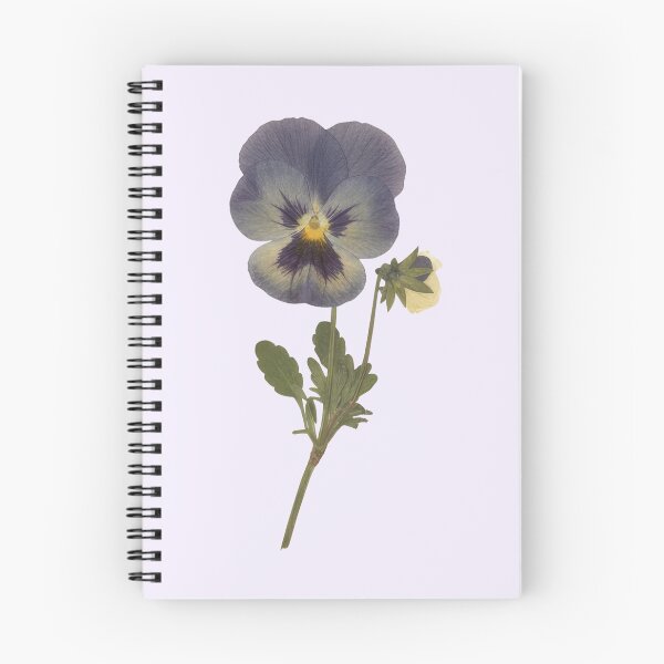 Item preview, Pressed Pansy Flower Sticker — Pastel Botanical Illustration designed and sold by PenseeVagabonde.