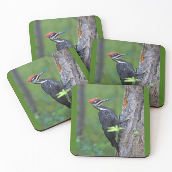 Item preview, Pileated Woodpecker Portrait designed and sold by James Cumming.