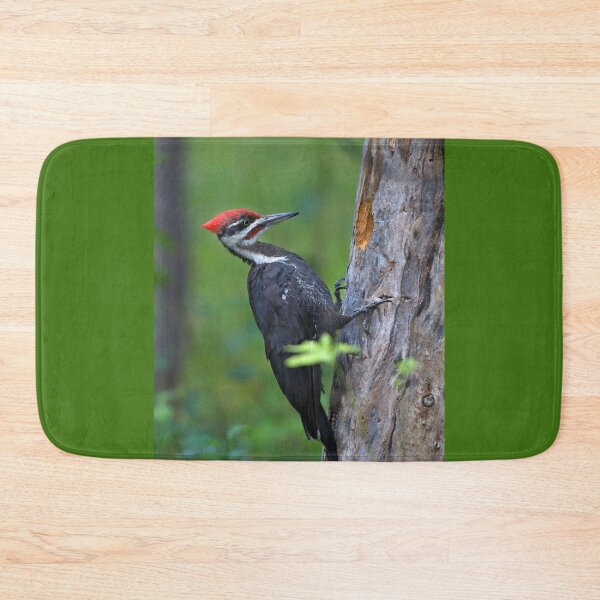 Item preview, Pileated Woodpecker Portrait designed and sold by James Cumming.