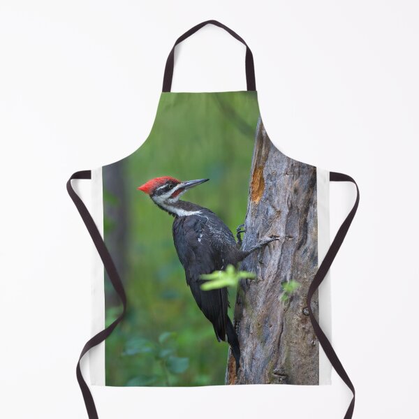 Item preview, Pileated Woodpecker Portrait designed and sold by James Cumming.