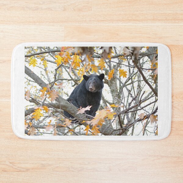 Item preview, Black bear in tree designed and sold by James Cumming.