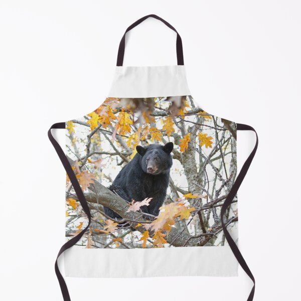 Item preview, Black bear in tree designed and sold by James Cumming.