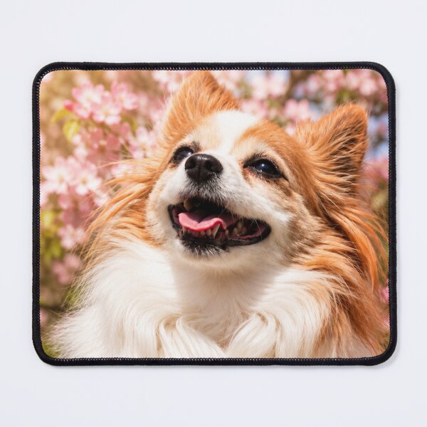Item preview, Spring Smiles designed and sold by Kimberly Palmer.