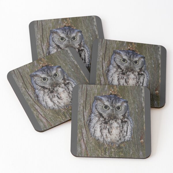 Aperçu de l'œuvre Ouvre-oeil de Screech Owl créée et vendue par James Cumming.