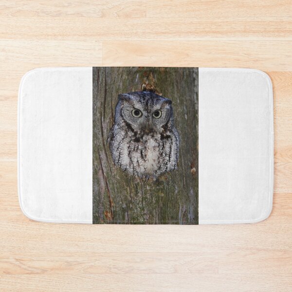 Item preview, Eastern Screech Owl eye opener designed and sold by James Cumming.
