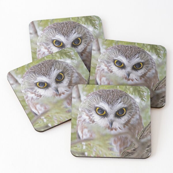 Item preview, Northern Saw-whet owl designed and sold by James Cumming.