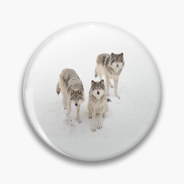 Item preview, Timber Wolves designed and sold by James Cumming.