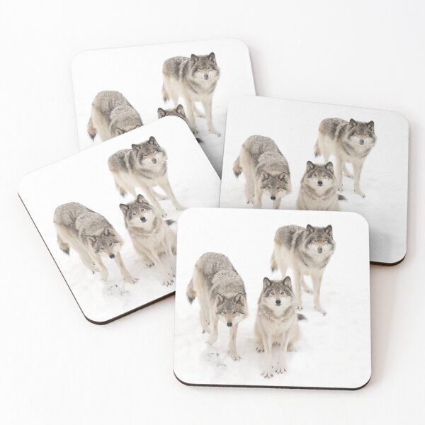 Item preview, Timber Wolves designed and sold by James Cumming.
