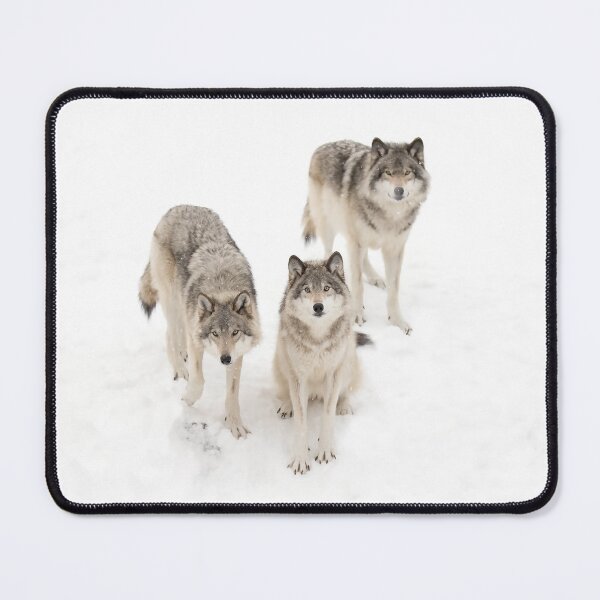 Item preview, Timber Wolves designed and sold by James Cumming.