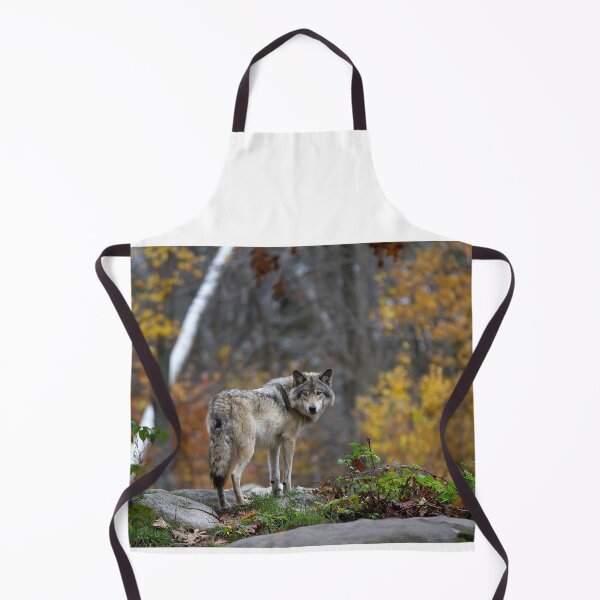 Item preview, Timber Wolf in Autumn designed and sold by James Cumming.