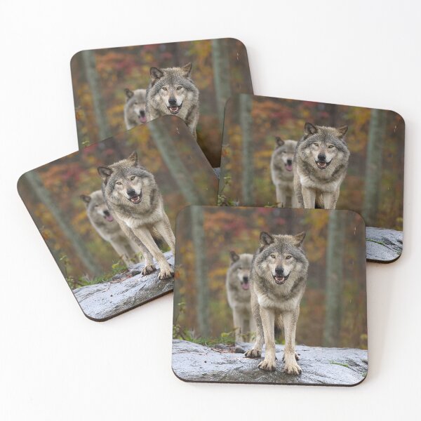 Item preview, Double Trouble - Timber Wolves designed and sold by James Cumming.