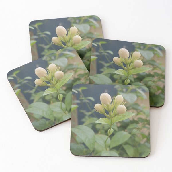 Item preview, Mogra fregnance  designed and sold by TruptiLokhande7.