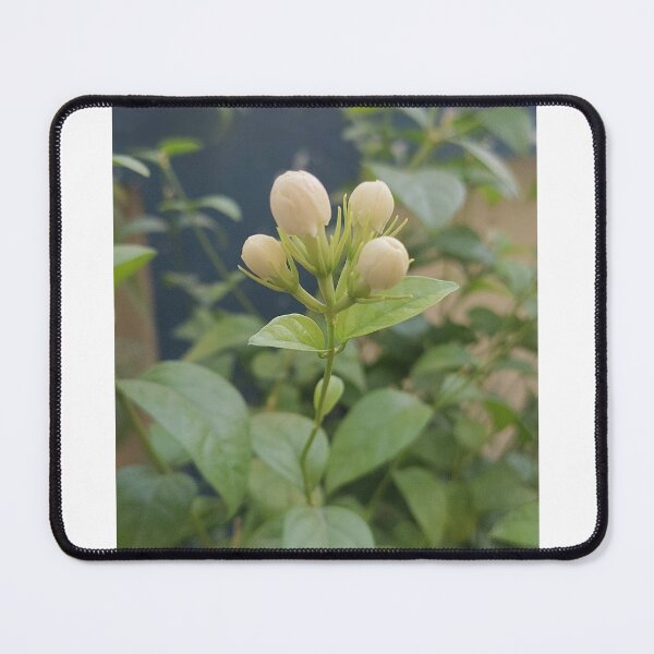 Item preview, Mogra fregnance designed and sold by TruptiLokhande7.