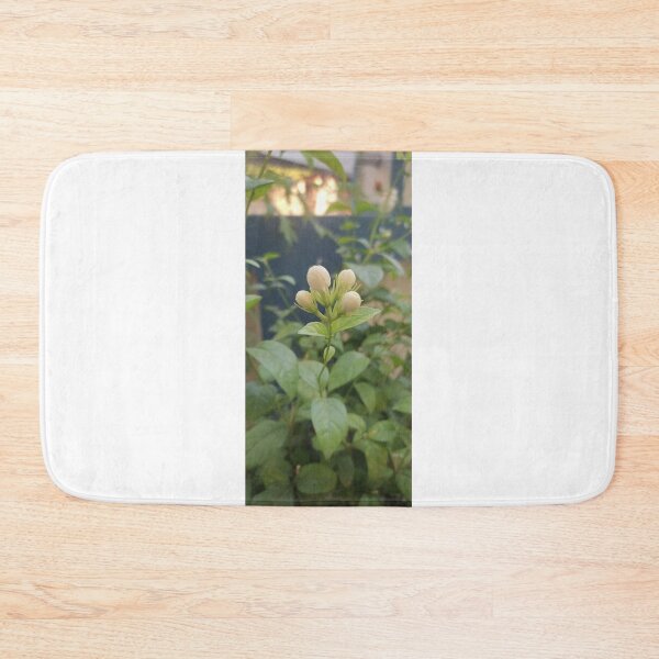 Item preview, Mogra fregnance  designed and sold by TruptiLokhande7.