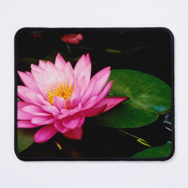 Item preview, Vibrant Pink Water Lily designed and sold by jklune.