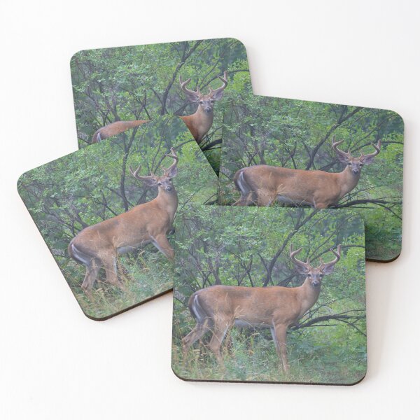 Item preview, White-tailed Buck in Summer designed and sold by James Cumming.