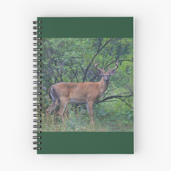 Item preview, White-tailed Buck in Summer designed and sold by James Cumming.