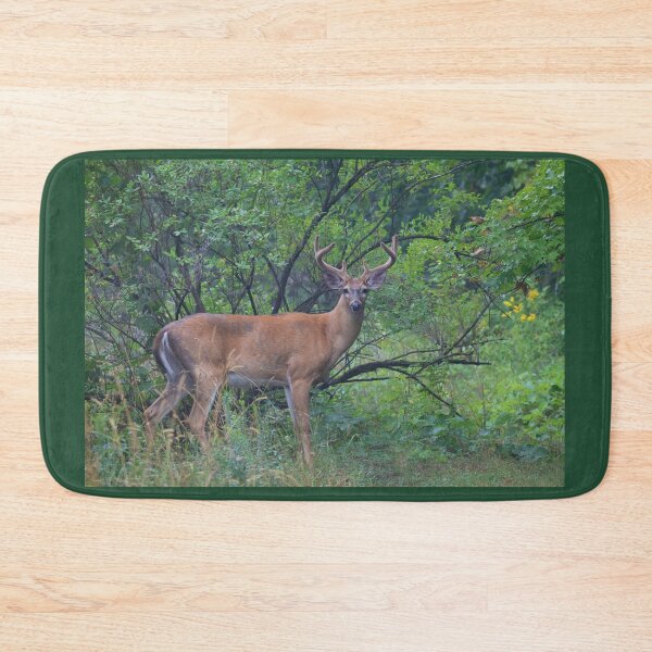 Item preview, White-tailed Buck in Summer designed and sold by James Cumming.