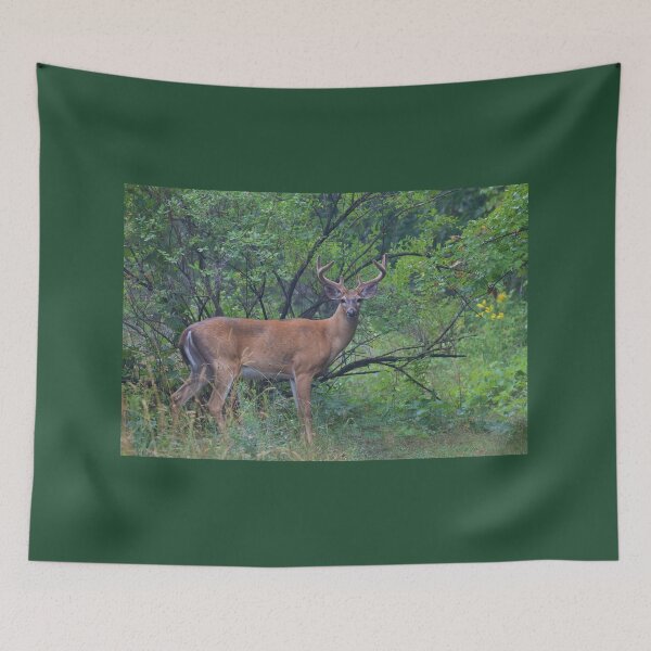 Item preview, White-tailed Buck in Summer designed and sold by James Cumming.