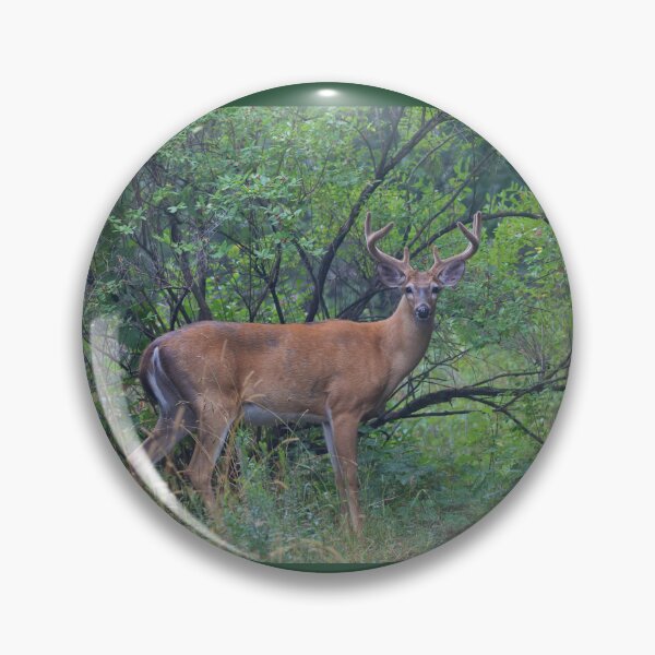 Item preview, White-tailed Buck in Summer designed and sold by James Cumming.
