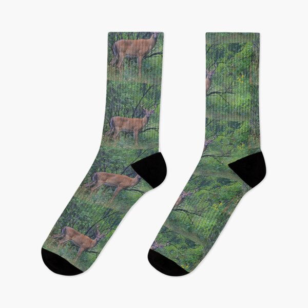 Item preview, White-tailed Buck in Summer designed and sold by James Cumming.