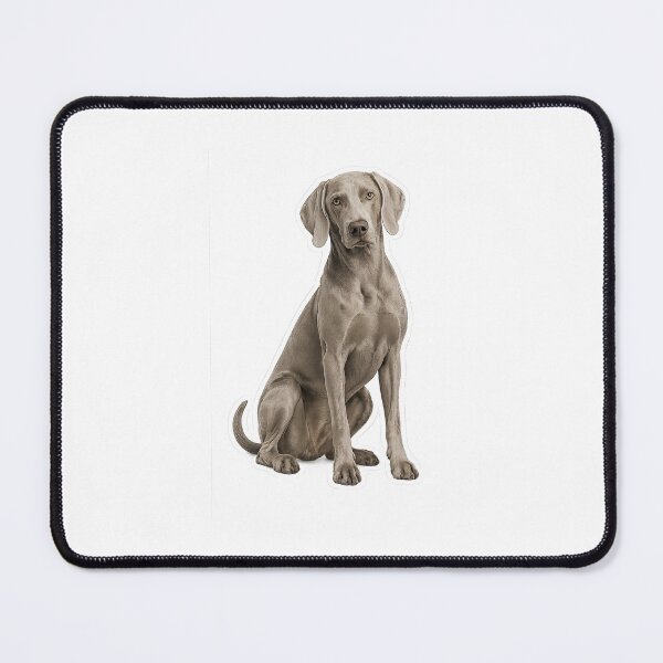 Item preview, Weimaraner dog designed and sold by BackgroundND.
